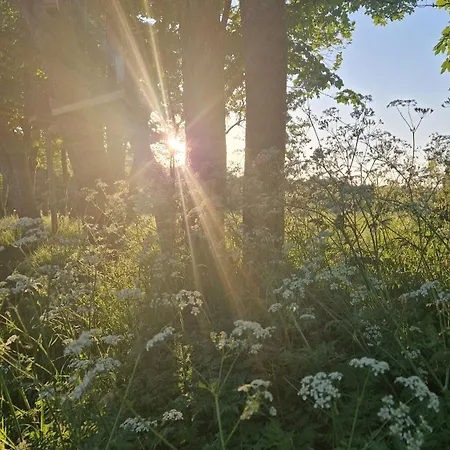 Ferienwohnung Sort Sol Apartman *